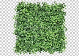 Hedge Wall Png Free Hedge Wall Png Transparent Images 110204 Pngio Green grass, green wall, garden, hedge, designer vertical gardens. hedge wall png transparent