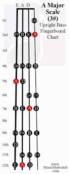 A Major Scale Charts For Violin Viola Cello And Double Bass