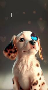 #buenosdiasmundo #parati #fyppppppppppppppppppppppp #sweet #almasnobles  #love #perritostiernos #CapCut