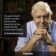 Watch and explore david attenborough documentaries online. David Attenborough Quote David Attenborough Quotes Pretty Words Quotes For Kids