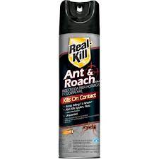 Inspect your foundation and seal any openings. Real Kill Ant And Roach Killer 17 5 Oz Aerosol Spray Hg 96320 The Home Depot