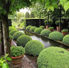 Dannacallahan On Instagram This Repost Is From The Upper Rill Garden At Wollerton Old Hall Garden Landscape Design Beautiful Gardens Garden Design