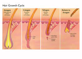 This video will help you grow your hair faster and understand why your might not be growing. How Fast Hair Grows And Other Hairy Science
