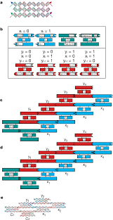 When molecules of the same substance stick together, cohesion accurs. Logical Computation Using Algorithmic Self Assembly Of Dna Triple Crossover Molecules Nature