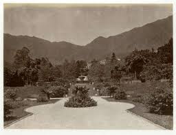 lai afong, Hong kong in the 1880 ...