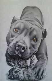 Pin By Yunus Yazici On Cizimler Animals Animal Tattoos Animal Drawings