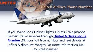 Delt Airlinesphonenumber To Avail Instant Help Regarding Ticket Bookings Visual Ly Delta Airlines Phone Numbers Service Trip