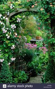 Pin On Cottage Garden Design Ideas