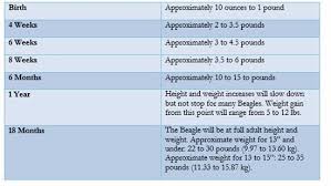 exhaustive weight chart for newborns puppy development