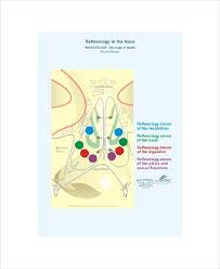 11 Reflexology Chart Templates Free Sample Example