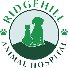 They often go above and beyond and have always been available during emergencies. North Haven Ct 06473 Veterinarian Ridgehill Animal Hopsital