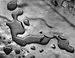 Brett Weston Raindrops On Roof Weston Abstract Photography Revolutionary Artists