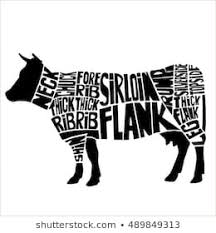 cow meat cuts images stock photos vectors shutterstock