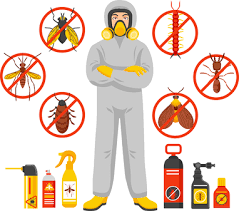 They emailed me back within the hour. 3 Benefits Of Hiring An Exterminator Near Me For Pest Control Exterminatorsnow