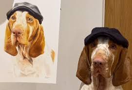 They are printed on premium canvas, giclee paper, or poster. Pet Portraiture Home Paint Paws Pet Portraiture Dog Cat Portraits Form Photos