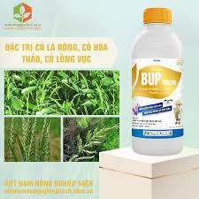 Bup 700OD
