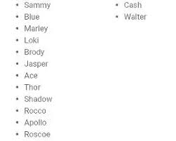 Quincas borba, the dog whose name is the same as his human's in machado de assis' quincas borba; What S The Best Name For A Dog Quora