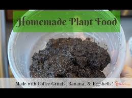 If you keep livestock or live rurally and have access to farm manure then you can use these manures in a number of different ways to enrich your soil. Homemade Plant Food In A Vitamix Blender Youtube