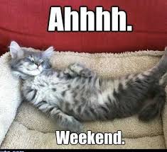 Image result for lazy weekend meme