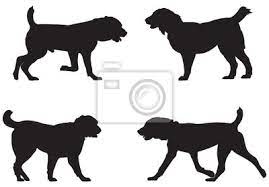 Alabai vs real canadian wolf reaction test. Alabai Central Asian Shepherd Dog Breed Silhouetten Zentralasien Leinwandbilder Bilder Hundeshow Schafer Rasse Myloview De