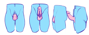 The NSFW Illustrators Guide V1 — Steemit