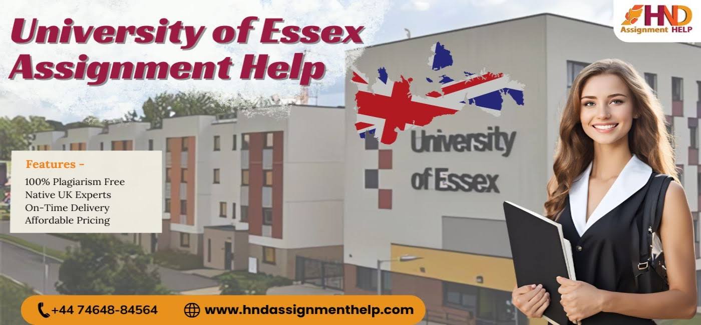University of Essex Assignment help product image