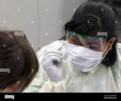 Image result for Marquesia