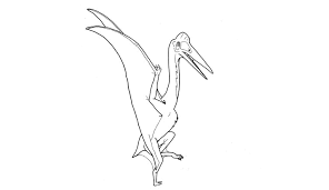 Dinosaurs coloring pages are a fun way for kids of all ages, adults to develop creativity, concentration, fine motor skills, and color recognition. Colouring Pages For Kids And Adults Natural History Museum