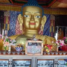 deepika dayal (@deepikadayal5)