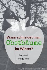 Wann schneide ich den kirschbaum? Wann Schneidet Man Obstbaume Im Winter Obstbaumschnitt Obstbaume Baum Schneiden