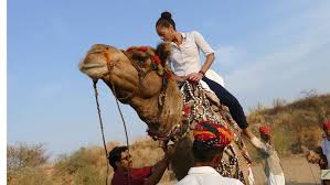 Top room amenities include a kitchenette, a desk, and extra. Camel Ride On Sand Dunes Desert Jaisalmer Rajasthan Compressed Desert Camp In Sam Sand Dunes Jaisalmer Rajasthan Camp Jaisalmer