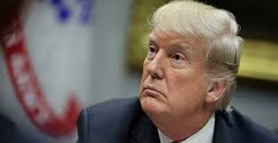 Busting myths! H-1B visa holders are not 'cheap labour'