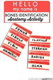 Femur =the main bone in the upper part of your leg. Bone Activity That Teaches Bone Names The Ot Toolbox
