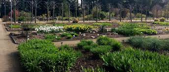 Täglich 7:30 bis 15:30 uhr, freitags bis 13:00 uhr. Auszeit Fur Die Seele Der Botanische Garten In Mainz Rheinhessenliebe