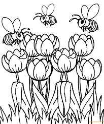 One of the best things about having kids is getting down on the carpet and coloring with them. Beautiful Spring Tulip Coloring Page Coloring Pages For Kids And Adults The Spring I Spring Coloring Pages Flower Coloring Pages Preschool Coloring Pages