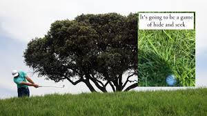Golf us open live streaming 2021 golf streams reddit all match, tv channel, reddit scores info start time. Ld99l8rdwshbqm