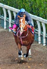 The japan racing association (japanese: æ¡œèŠ±è³ž ãƒ¬ã‚·ã‚¹ãƒ†ãƒ³ã‚·ã‚¢ç ´æ ¼ã®ä¸€ç•ªæ™‚è¨ˆ ãƒ¦ã‚¿ã‚«çµ¶è³› æ¡œèŠ±è³ž ã‚¯ãƒ©ã‚·ãƒƒã‚¯æœ€å¹´é•·ï½–ã¸ ç«¶é¦¬ ãƒ¬ãƒ¼ã‚¹ ãƒ‡ã‚¤ãƒªãƒ¼ã‚¹ãƒãƒ¼ãƒ„ Online