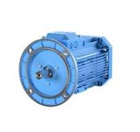 ABB 3GAA Reversible Induction AC Motor, 0.55 kW, IE2, 3 Phase, 2 Pole, 415  V, Flange Mount Mounting