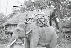 Elephant Stories from the Vietnam War ...
