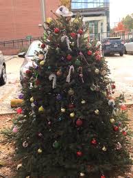 Camellia City Aktion Club helps prepare park for holidays
