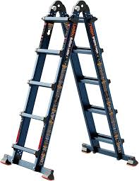 Image result for Lankesteria