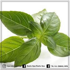Jun 01, 2021 · resep santan daun ubi tumbuk. Khasiat Daun Selasih Untuk Kesihatan Tn Hj Ismail Hpa Facebook