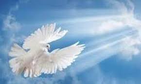 Δείτε πώς θα λειτουργήσουν καταστήματα και υπηρεσίες. Bbobxu4sf 6vim