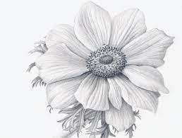 Would you like to change the currency to euros (€)? Realistic Tonal Flower Drawing Novocom Top