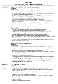 Financial advisors can help individuals and companies reach their financial goals sooner by providing their clients with strategies and ways to create more wealth. Advisory Services Senior Manager Resume Samples Velvet Jobs