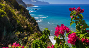 Wer mehr über erfahren möchte, muss einfach nur hier weiterlesen. Madeira Urlaub Die Gunstigsten Angebote Urlaubsschnappchen