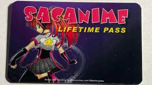 We're preparing items for the SacAnime charity auction! There is a chance  to bid