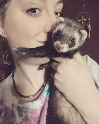 FOUND!!! Thank you everyone for sharing and keeping nan eye out. One very  hungry and tired ferret Lost Ferret I know it is a long shot but my  daughters ferret has escaped