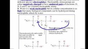 7.3: Nucleophiles - Chemistry Libretexts