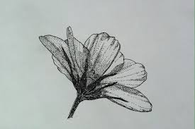 Pin On Pen And Ink Art